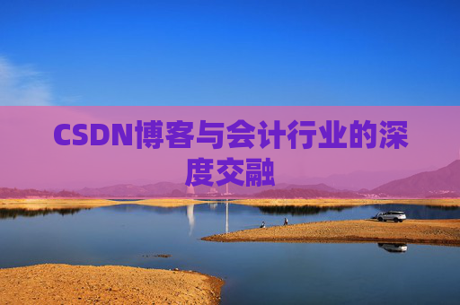 CSDN博客与会计行业的深度交融